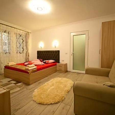 Apartment Trandafirilor *